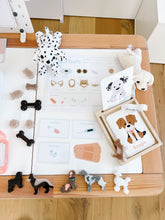 Load image into Gallery viewer, Vet Clinic Dramatic Play