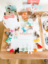 Load image into Gallery viewer, Pet Adoption Clinic Pretend Play