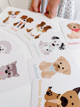 Load image into Gallery viewer, Dog Breed Flash Cards