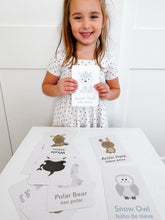 Load image into Gallery viewer, Arctic Animals Flashcards