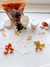 Load image into Gallery viewer, Pumpkin Spice Sensory Kit