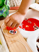 Load image into Gallery viewer, Bugs Printable Dramatic Play