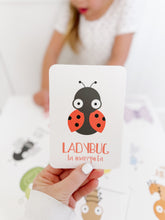 Load image into Gallery viewer, Bugs Flashcards