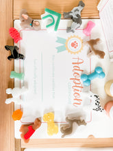 Load image into Gallery viewer, Pet Adoption Clinic Pretend Play