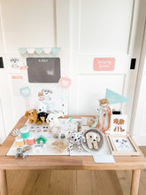 Load image into Gallery viewer, Vet Clinic Dramatic Play