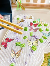 Load image into Gallery viewer, Bugs Printable Dramatic Play