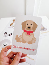 Load image into Gallery viewer, Dog Breed Flash Cards