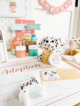 Load image into Gallery viewer, Pet Adoption Clinic Pretend Play