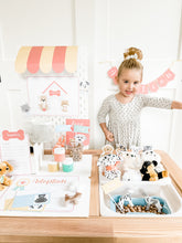 Load image into Gallery viewer, Pet Adoption Clinic Pretend Play