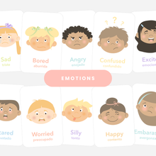 Load image into Gallery viewer, Emotions Flashcards