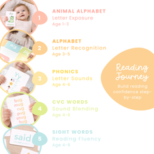 Load image into Gallery viewer, Reading Flashcards Bundle