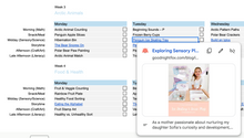 Load image into Gallery viewer, Educational activity planning sheet with a pop-up window showing a blog post about sensory play.