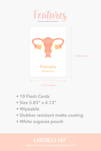 Load image into Gallery viewer, Organs Flashcards