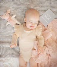 Load image into Gallery viewer, Baby Milestone Cards (Grey)