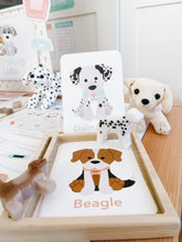Load image into Gallery viewer, Dog Breed Flash Cards