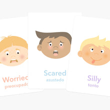 Load image into Gallery viewer, Emotions Flashcards