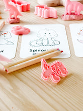 Load image into Gallery viewer, Dinosaur Coloring Cards